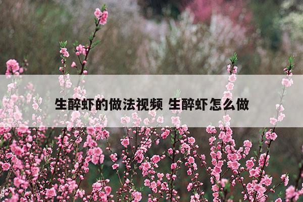 生醉沼虾的做法大全