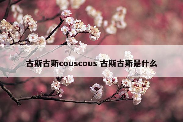 古斯古斯couscous古斯古斯是什么