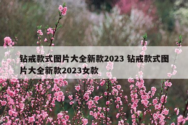 本田思域2023新款报价及图片