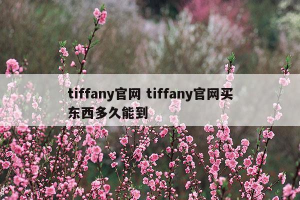 tiffany官网tiffany官网买东西多久能到