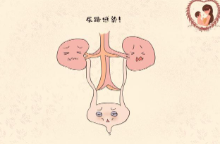 尿路感染的症状