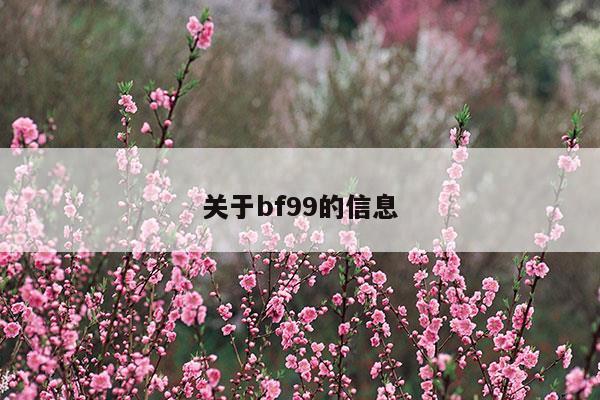 关于bf99的信息