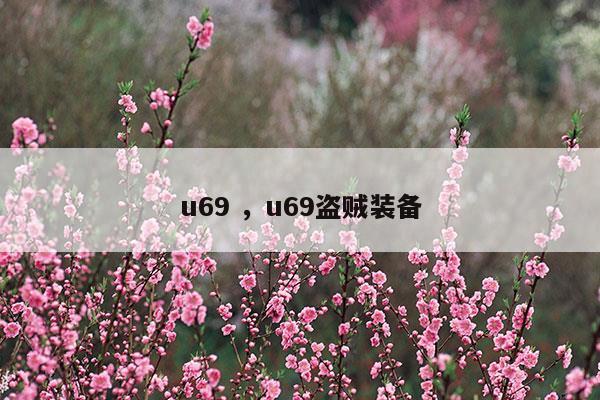 盗贼u19装备