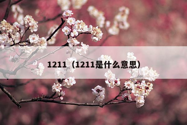 1211灭火器是什么灭火器