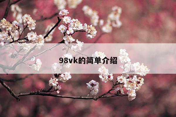 98vk是谁唱的