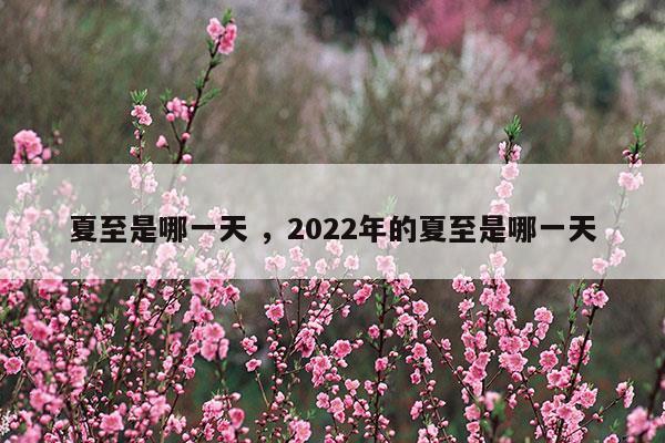 夏至是哪一天2023年的夏至是哪一天