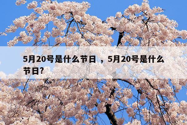 5月20日是什么节日子