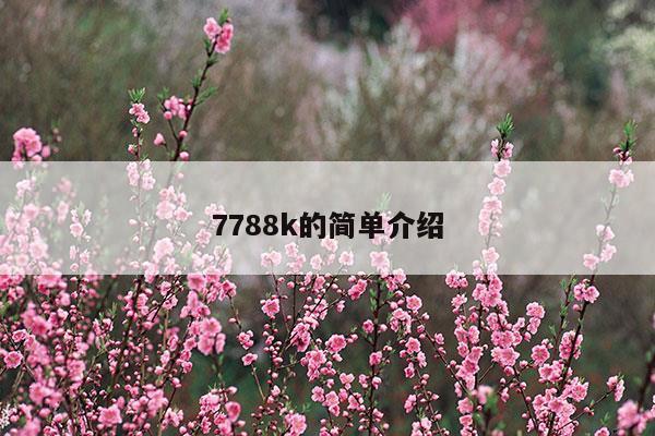 7788有什么含义