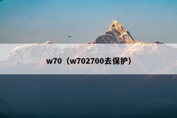 w70是什么材料