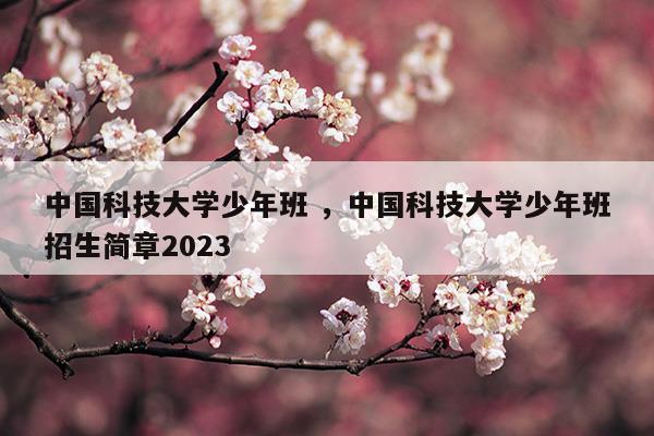 中国科技大学少年班招生简章2020