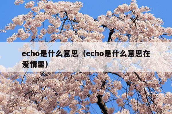 echo是什么意思网名