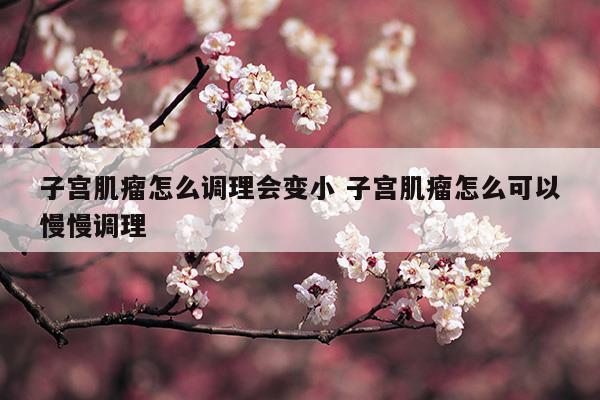 子宫肌瘤怎么控制才能慢慢变小