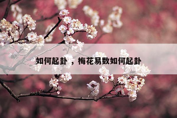 梅花易数时间起卦法