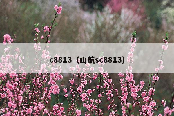 c8813q cm11