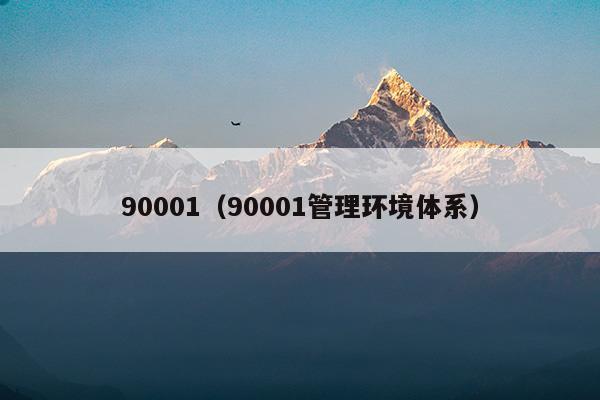 90001质量管理体系文件