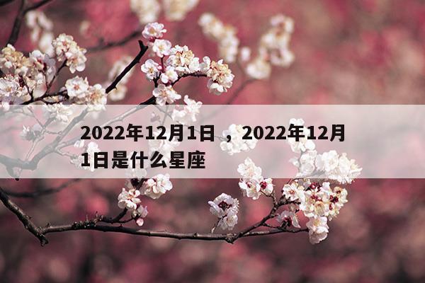 2023年1月退休与2022年12月退休有区别吗