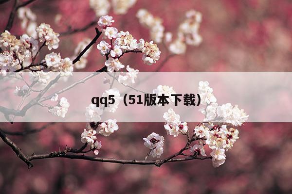 qq5.0版本下载