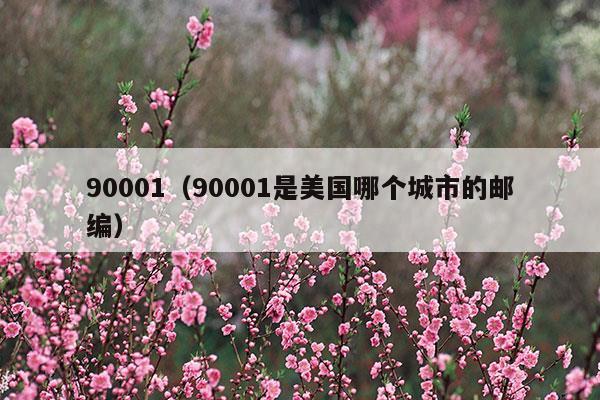 90001质量管理体系标准