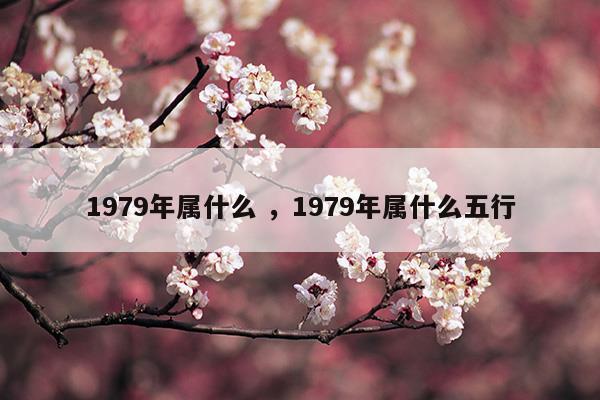 1979年生肖五行属什么