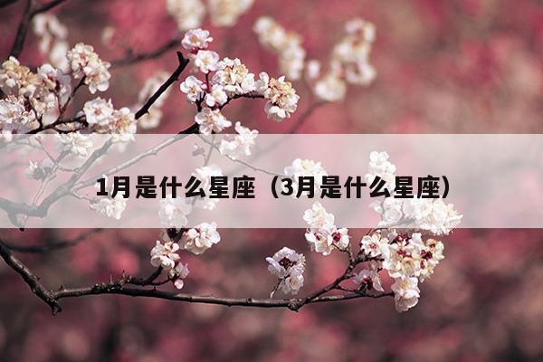 1月是什么星座和生肖