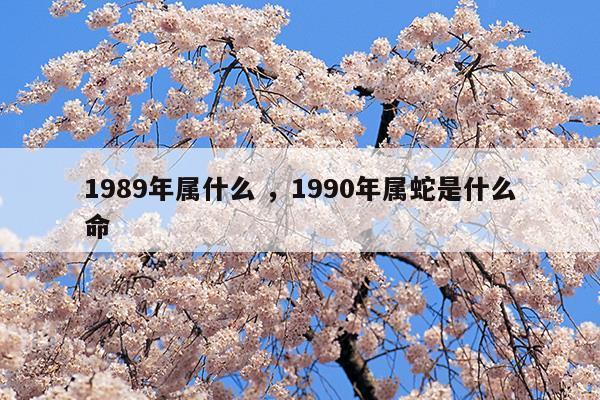 1989年属什么1990年属蛇是什么命