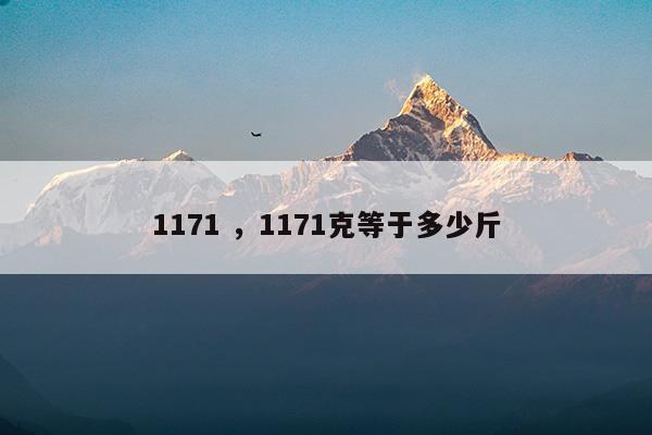 1172g是多少公斤