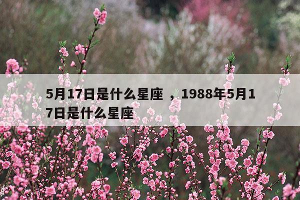 1988年5月17日生是什么命