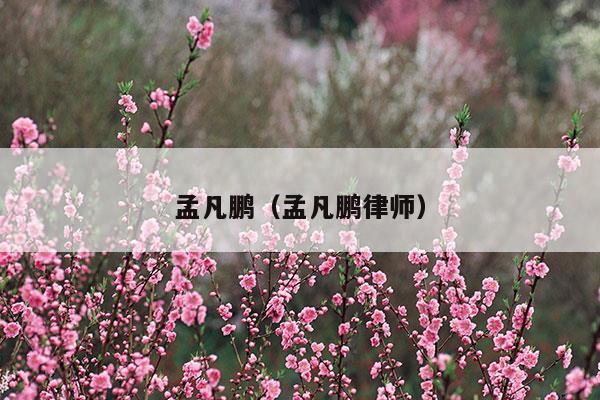 孟凡鹏歌曲缘爱