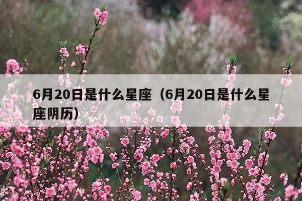 6月20日是什么星座属牛