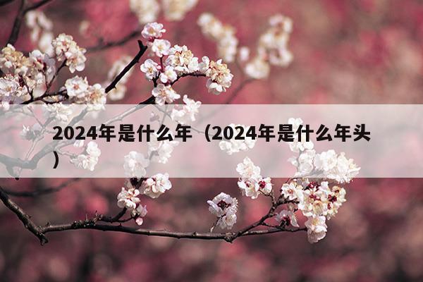 2024年是什么年全年有多少天