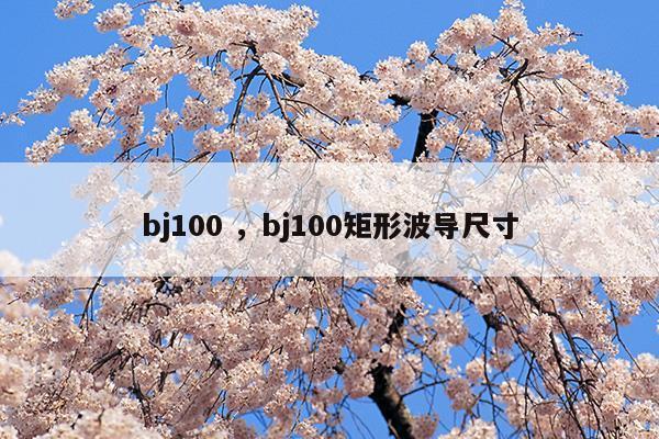 bj100bj100矩形波导尺寸