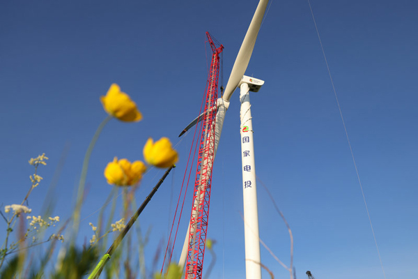 霍林河循环经济示范工程30万千瓦风电项目施工现场。受访者供图