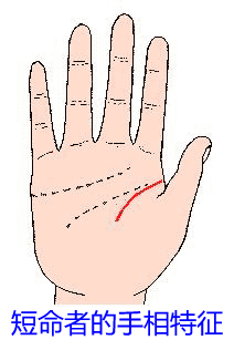 短命者的手相