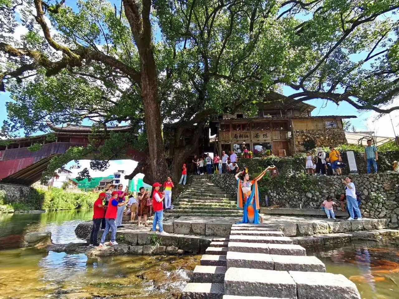 “古”韵里“树”写风景 留住美丽中国记忆