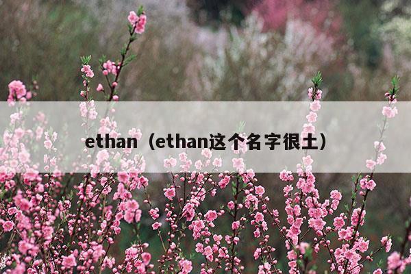 ethanol和alcohol区别