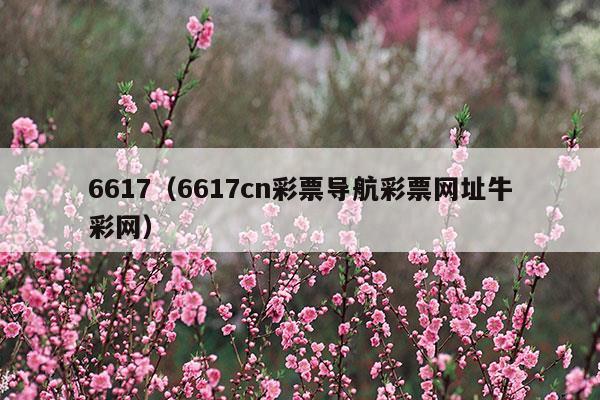 6617网址导航-彩票网址大全