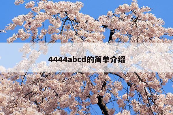 4444abcd的简单介绍