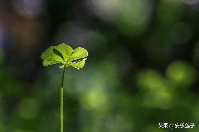 星座闲谈：天蝎座女生和巨蟹座男生合适吗