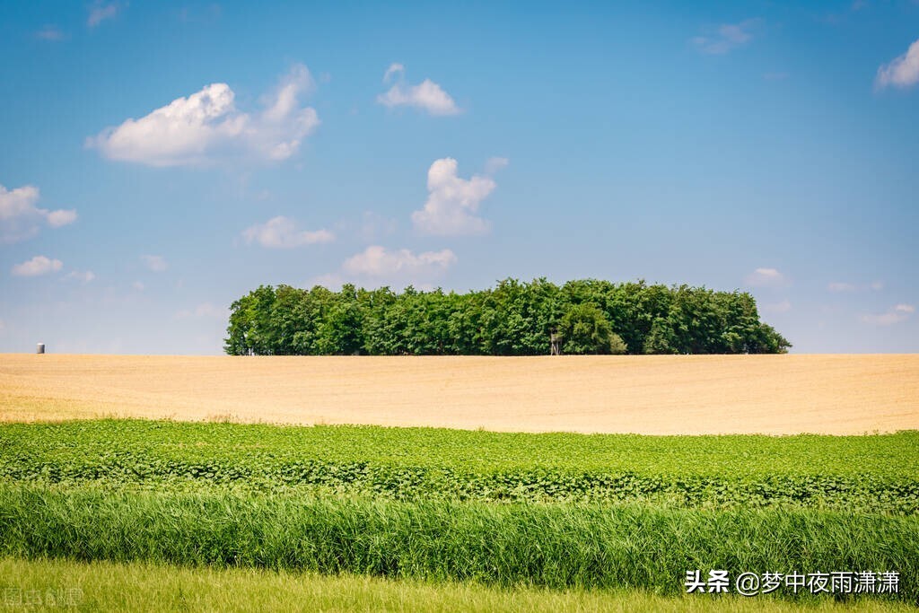 走不出的圈